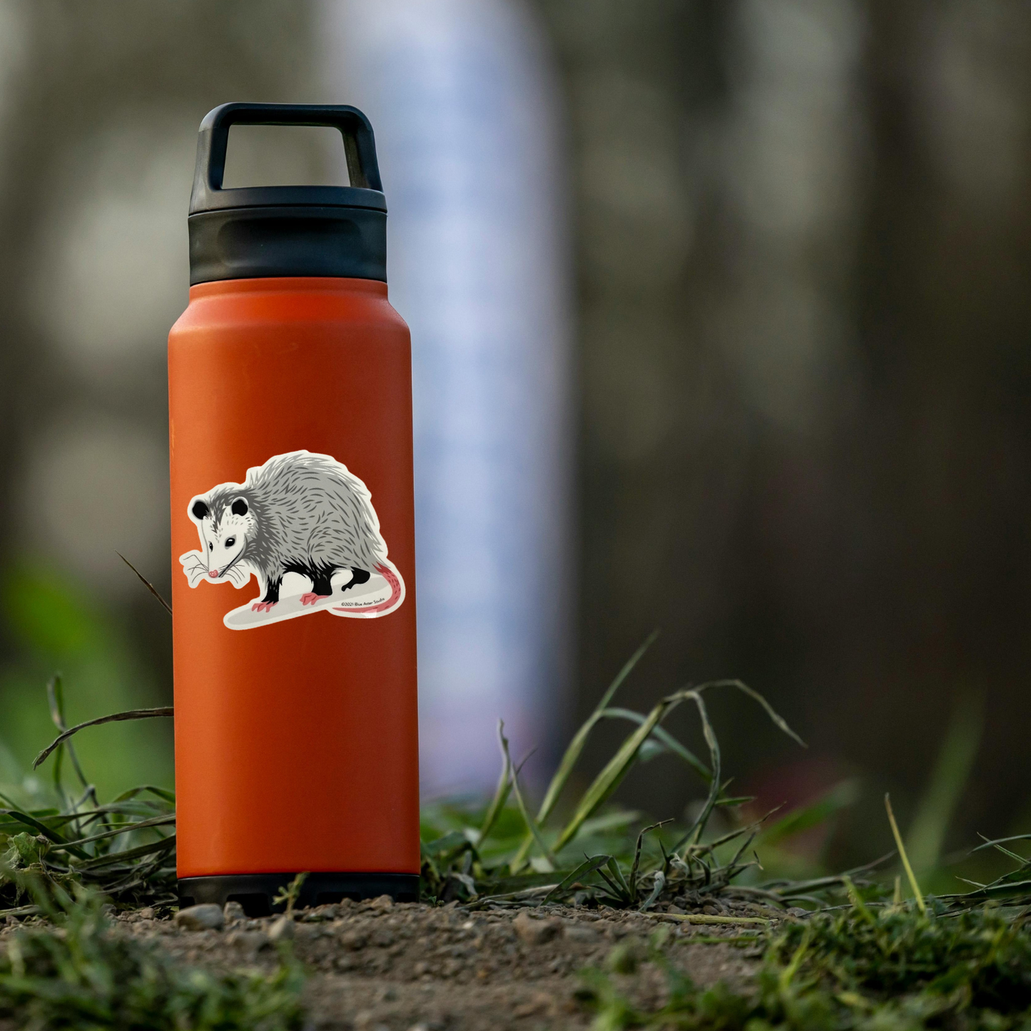 Orange water bottle with a possum sticker on a grassy ground