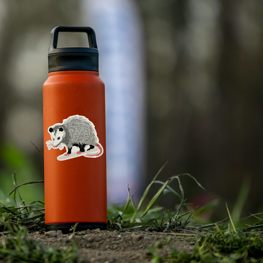 Orange water bottle with a possum sticker on a grassy ground