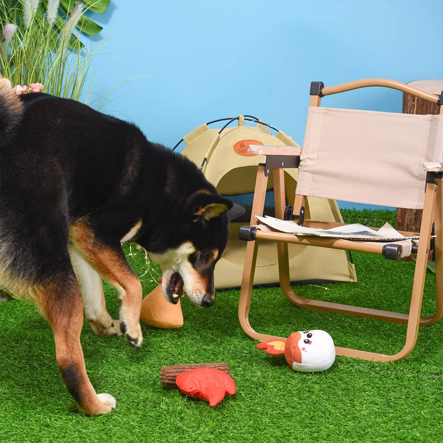 Camping Dog Plush Toy