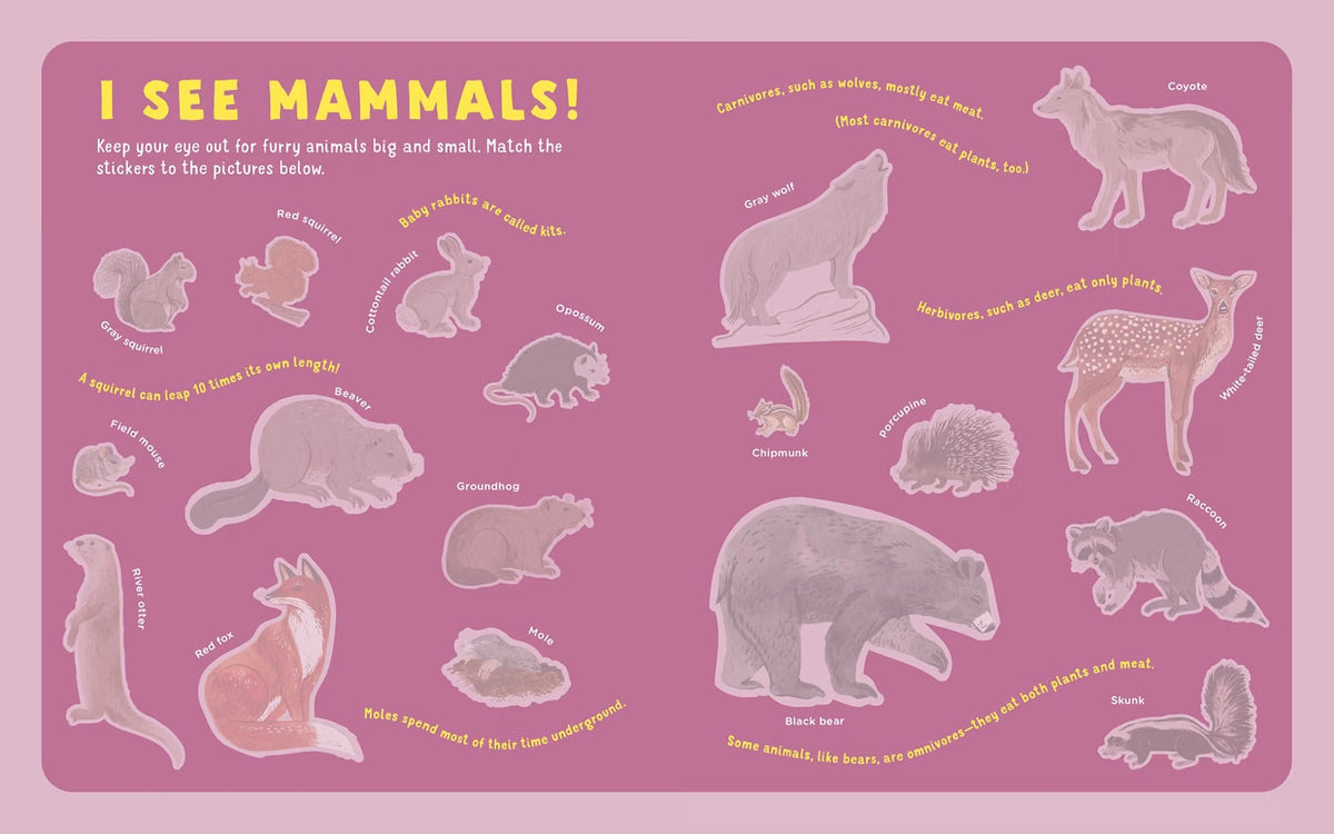 Backpack Explorer Stickers: Nature Adventure