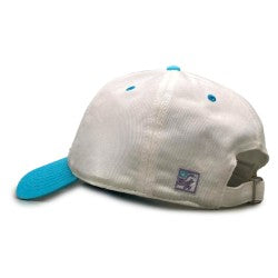 Indiana State Parks Blue and Purple Hat