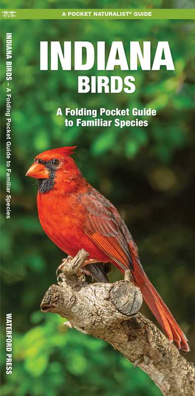 Book cover of 'Indiana Birds' with a red cardinal on a branch against a green background