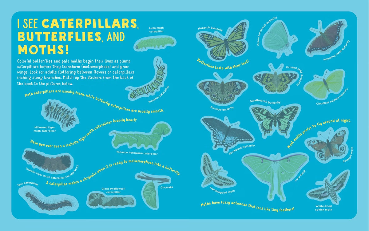 Backpack Explorer Stickers: Bug Adventure