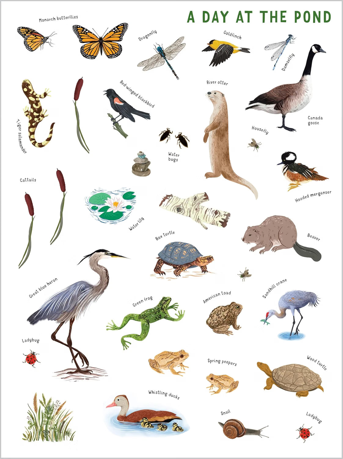 Backpack Explorer Stickers: Nature Adventure