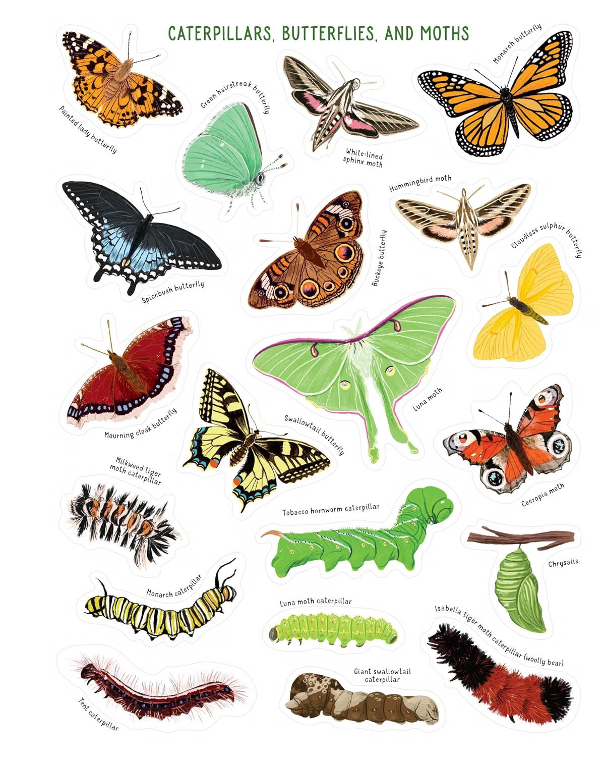 Backpack Explorer Stickers: Bug Adventure