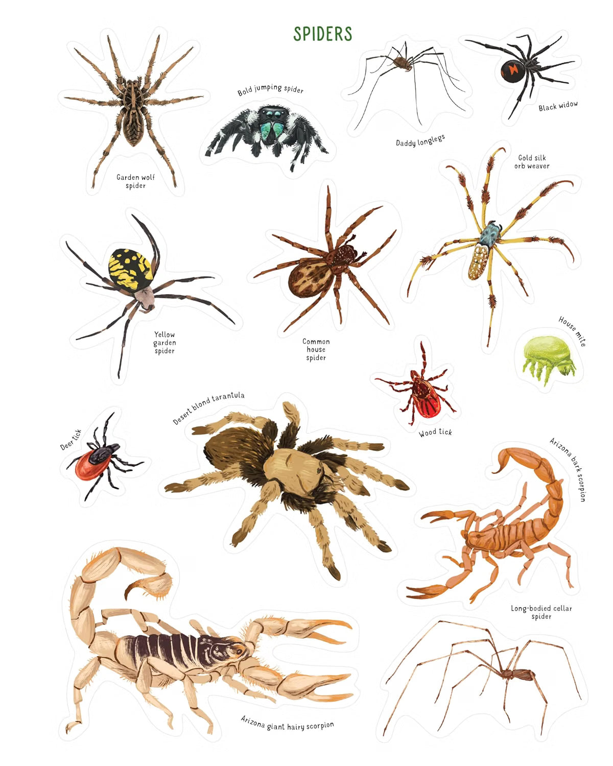 Backpack Explorer Stickers: Bug Adventure