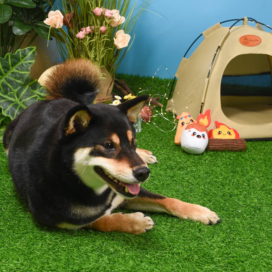 Camping Dog Plush Toy