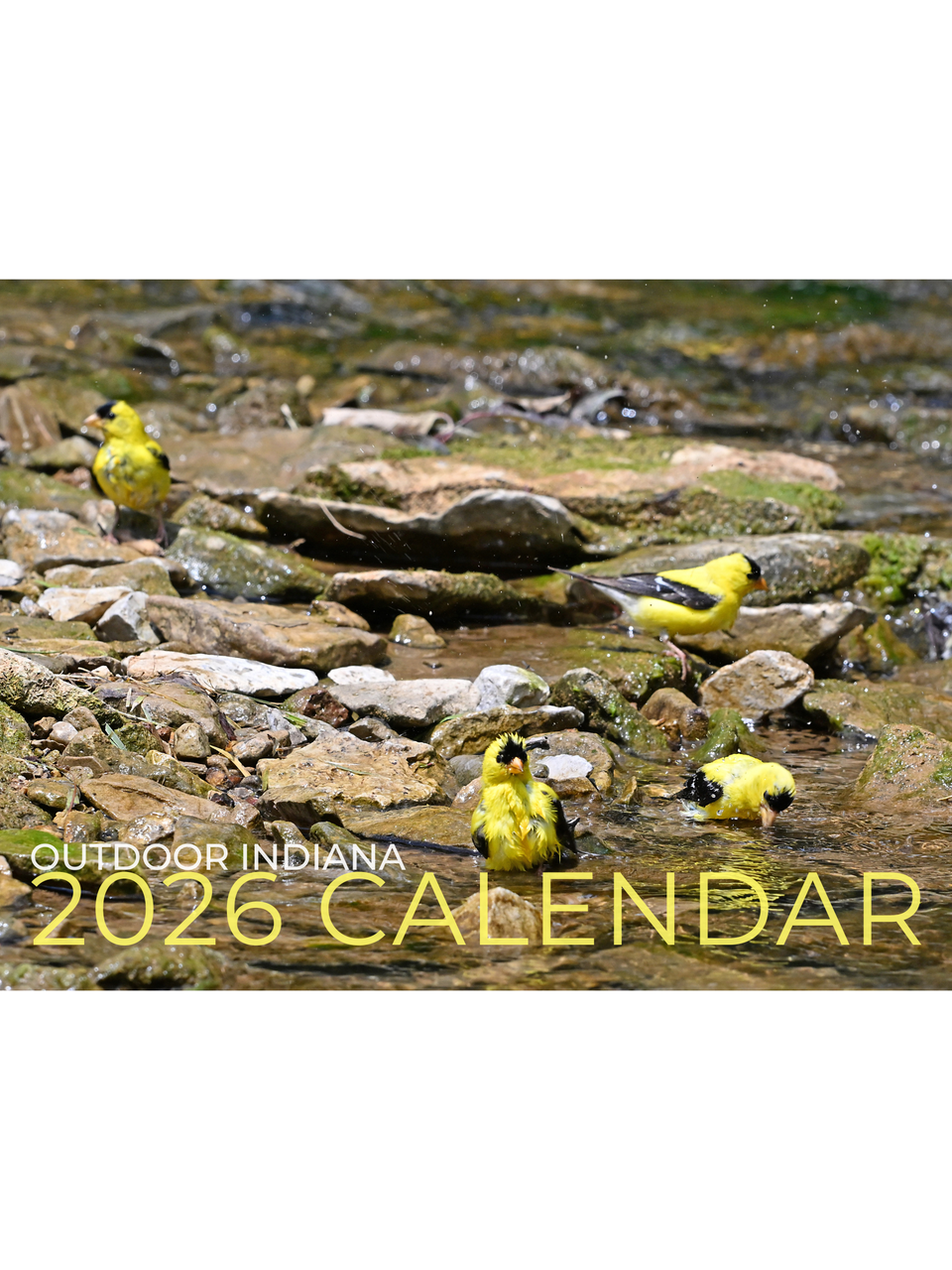 2026 calendar featuring yellow birds on rocks with water in the background