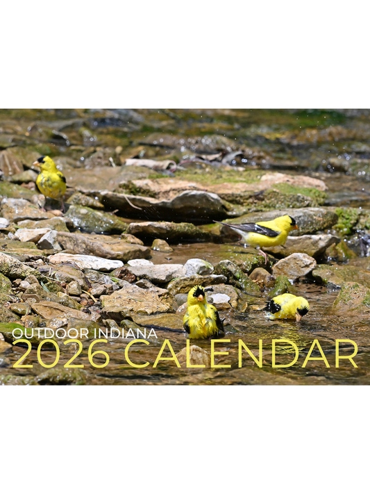 2026 calendar featuring yellow birds on rocks with water in the background