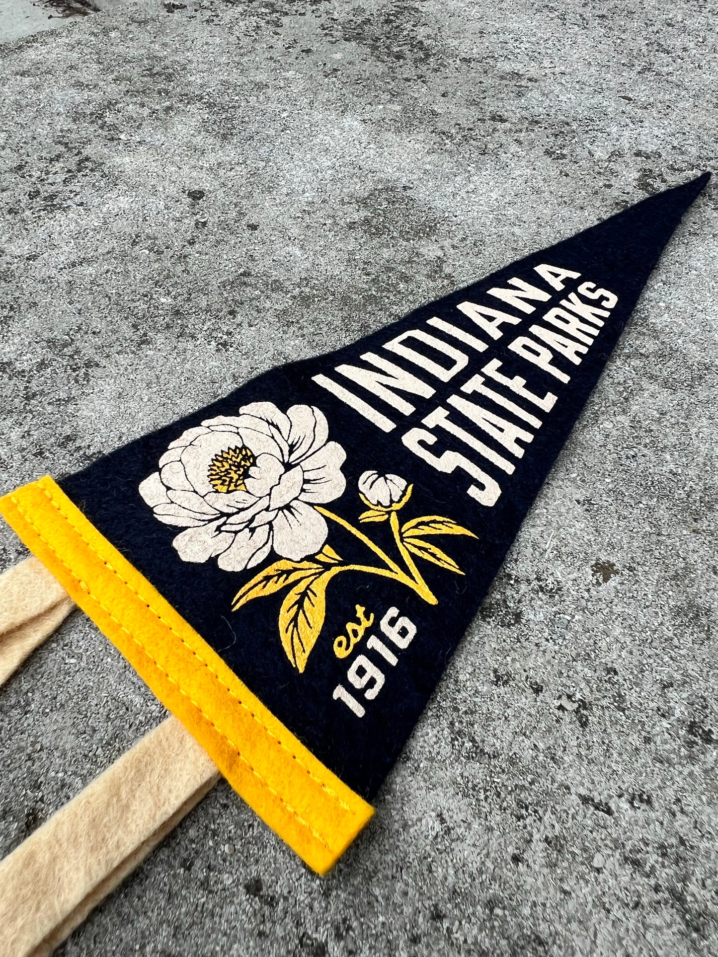Indiana State Parks x Oxford Pennant