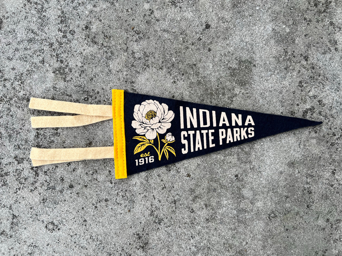 Indiana State Parks x Oxford Pennant