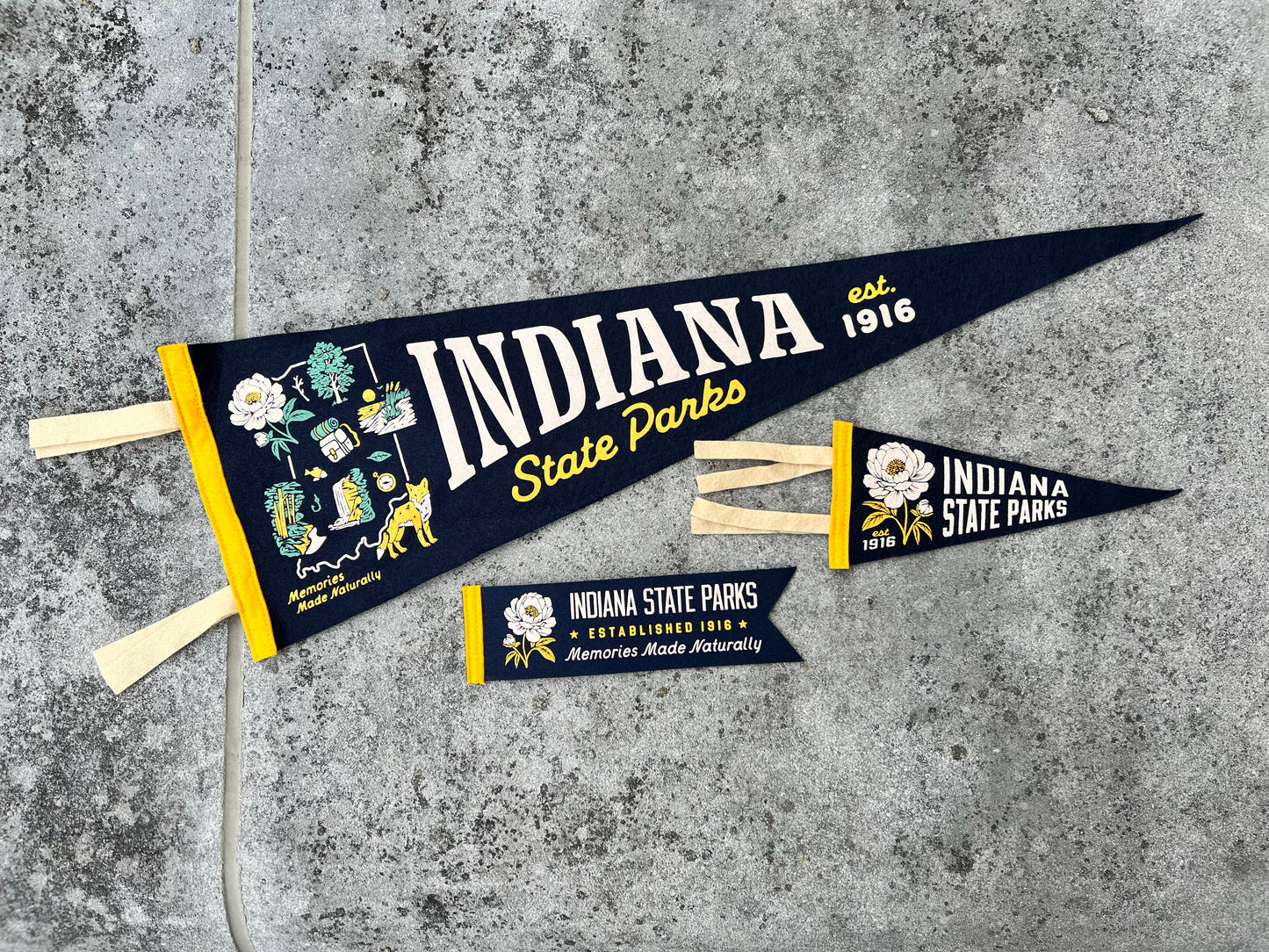 Indiana State Parks x Oxford Pennant