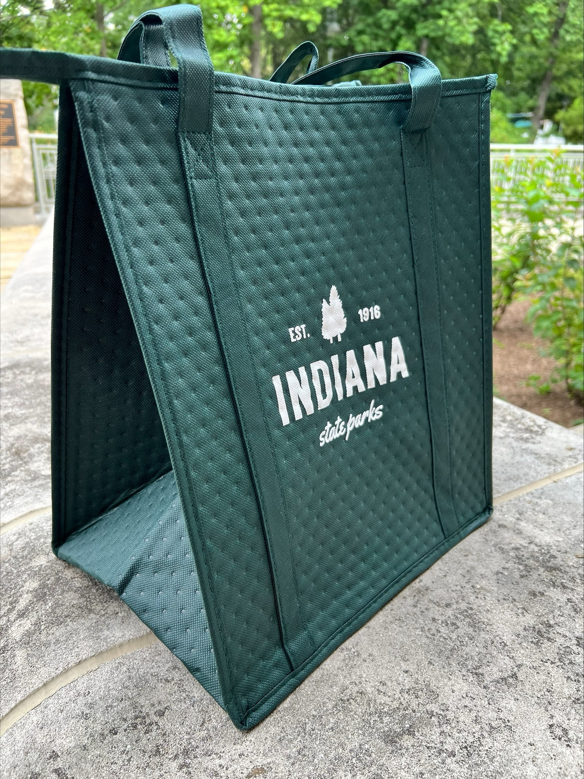 Indiana State Parks Cooler Bag