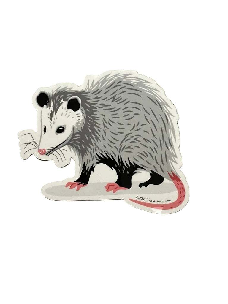 Sticker of a opossum on a textured gray background