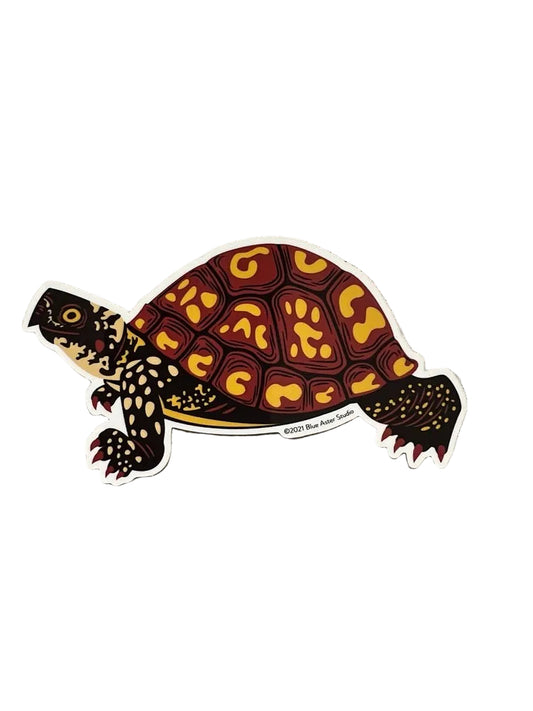 Sticker of a turtle with a patterned shell on a textured gray background