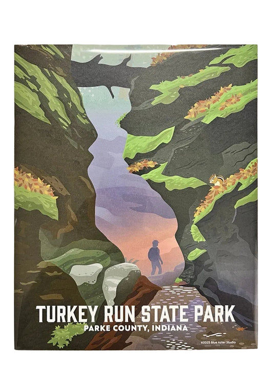 Poster of Turkey Run State Park with a scenic illustration of a person in a natural setting.