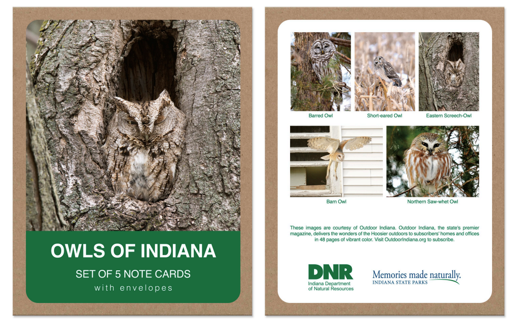 A set of owl-themed note cards with envelopes, shown as a two-card front-and-back layout. The left card features a large photograph of an owl camouflaged in tree bark with a green banner reading 'OWLS OF INDIANA SET OF 5 NOTE CARDS with envelopes.