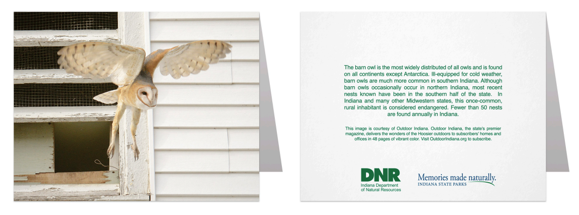 A square product shot showing a printed card alongside an owl perched on a white house eave. The owl is in flight with wings spread, and the right side shows a white card with small black text and a green DNR logo at the bottom.