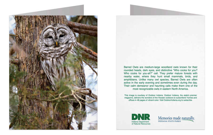 A folded card shown front and back. The front features a large photograph of a barred owl perched in front of tree bark.  The back of the notecard features informative text about barred owls and the DNR logo.
