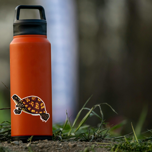 Orange water bottle with a turtle sticker on a grassy background