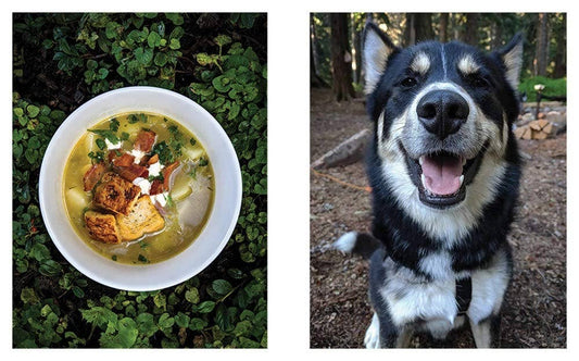 Great Outdoors Cookbook: Over 100 Recipes for the Trail