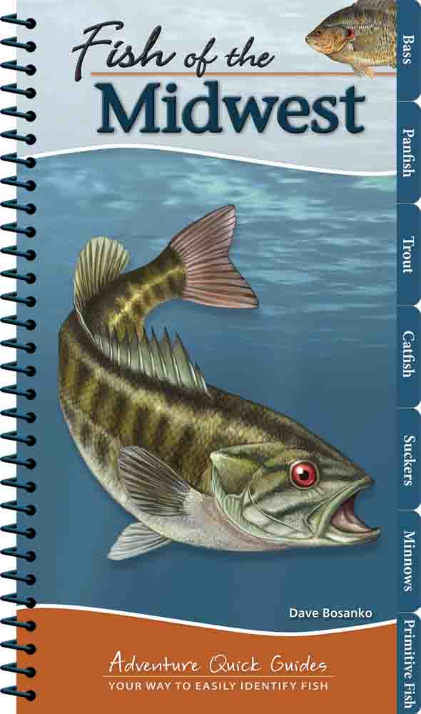 Fish of the Midwest