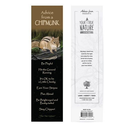 Black and brown bookmark with chipmunk image, listing advice from a chipmunk with beige text